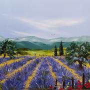 Champs de lavandes - 150 €